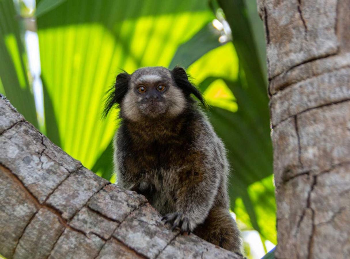 Ananda Pousada Pirenópolis Buitenkant foto